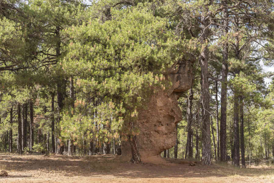Cuenca - Valdecabras - Ciudad Encantada 19 - la Cara del Hombre.jpg